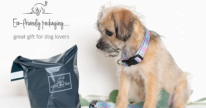 Lucky Love Dog - Adjustable Dog Collar with Easy Click Buckle for Small Dogs, Durable, & Comfortable for Male & Female Dogs, Pet Collar for Puppies & Adult Dogs - Clara, Small