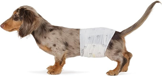 Amazon Basics Male Dog Diapers, 30 Count, Small, Ultra Absorbent Disposable Wrap with Secure Fit, Leakproof and Comfortable