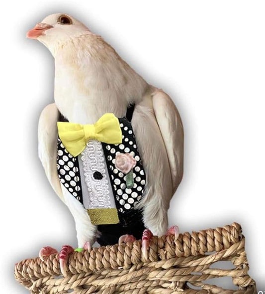 Bev's Bird Boutique Regular Flyper Adjustable Bird Diaper | Reusable, Washable Cloth | Comfort Fit for Parrot, Cockatiels, & Other Small Birds | Fashionable Avian Accessories, Retro Tux, Size 9