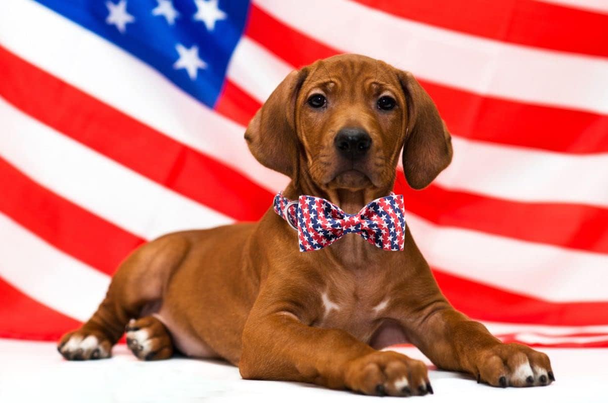 Lionet Paws Patriotic Dog Collar with Bowtie, 4th of July, Soft and Comfortable, Adjustable Collar for Small Dogs, Neck 10-16 inches