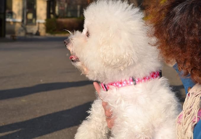Dog Collar - Adjustable Heart Dog Collar - Love Theme - Perfect for Small Medium Large Dogs(Pink Heart,L)