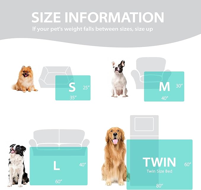 Dog Blankets Washable Pet Blanket - Fluffy Fuzzy Cat Puppy Blanket with Premium 300GSM 3D Fleece Bubble for Pet Kitten Doggy, Cream, 30x40IN
