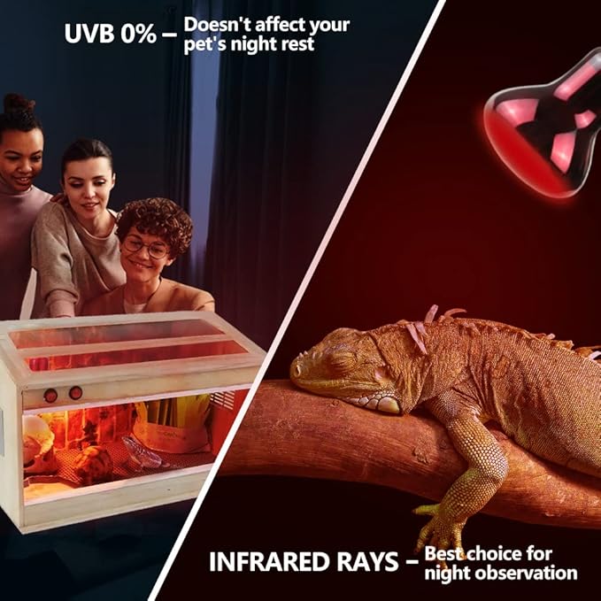 LUCKY HERP Infrared Heat Lamp 100W 2 Pack，Reptile & Amphibian Basking Spot Light Bulbs, Red Heat Lamp Bulbs for Reptiles, Bearded Dragon, Turtle, Lizard, Snake, Chicken