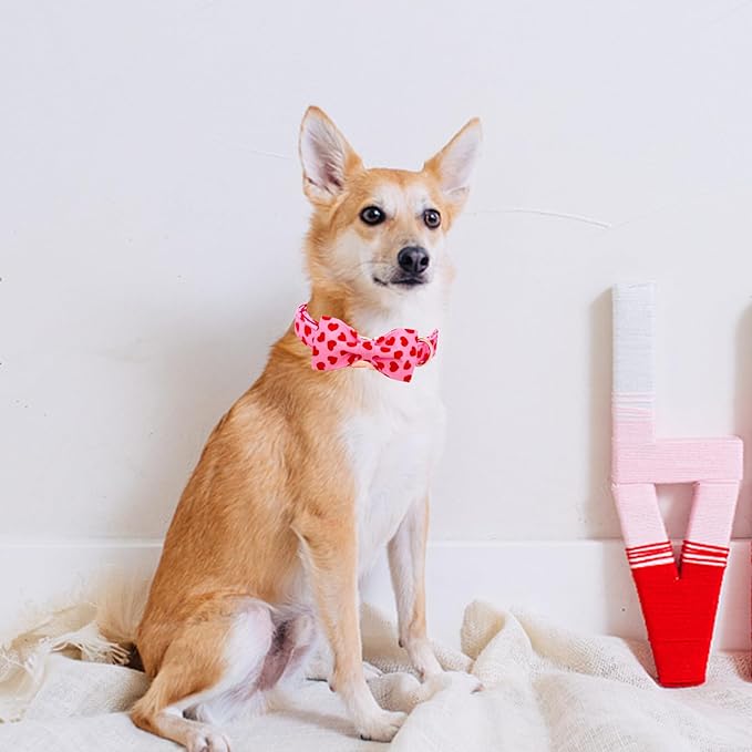 Lionheart glory Dog Bow Collar Valentine's Day Dog Collar for Medium Dogs, Hearts Dog Collars with Bowtie Spring Dog Collar Pet Collar Bows