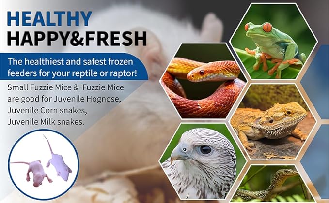 MiceDirect Frozen Mice Combo Pack 50 Small Fuzzies & 50 Fuzzies Frozen Reptile & Snake Food (100 Count)