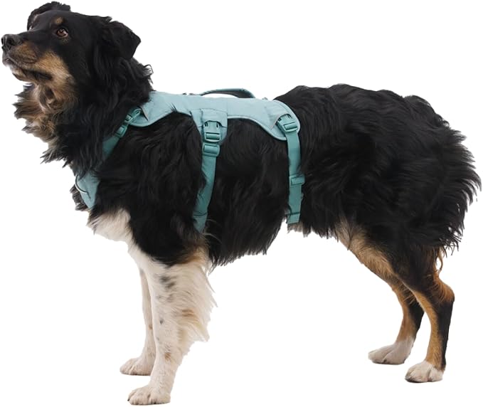 Ruffwear, Web Master, Multi-Use Support Dog Harness, Hiking and Trail Running, Service and Working, Everyday Wear, River Rock Green, Large/X-Large