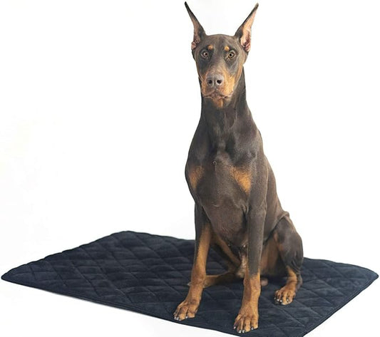 4Knines Extra Large Dog Crate Mat – Waterproof, Non-Slip, Machine Washable Crate Mat – Soft, Durable Kennel Mat for Dogs – Pet Bed for Crates, Travel or Home Use - Extra Large (Black)