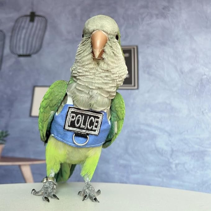 Bird Flight Harness Vest, Parrot Flight Suit with Leash, Bird Flying Clothes with Rope and Handle for Outdoor Activities (with Leash,Sun Conure)