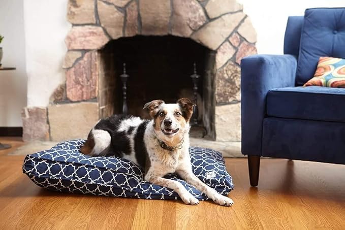 Molly Mutt Sheepy Wool-Filled Crate Pad, GOTS-Certified 100% Organic Cotton Canvas Cover with Soft 100% Natural Wool Insert, Ideal for Dog Bed or Kennel, Forever Young, 30" x 21" x 2.5"