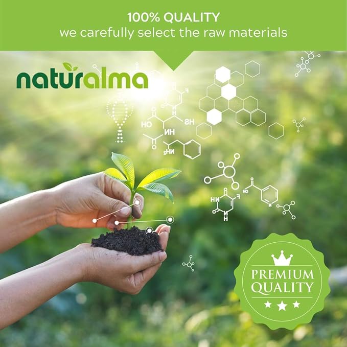 Naturalma Chaga (Inonotus obliquus) Fungus or Mushroom Alcohol-Free Tincture - 4 fl oz Liquid Extract in Drops - Herbal Supplement - Vegan