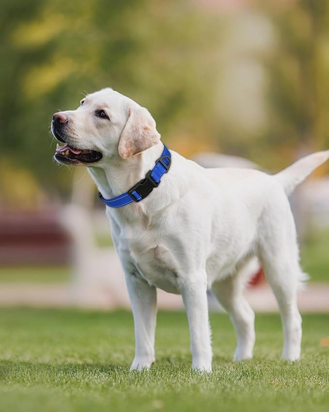 Joytale Large Dog Collar, Reflective and Adjustable Nylon Pet Collar with Quick-Release Buckle for Extra Large Dogs, Navy Blue, XL