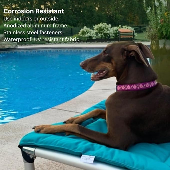 Kuranda Chewproof Elevated Pet Bed - Silver Aluminum - 30" x 20" - Sunsure Textilene - Sierra