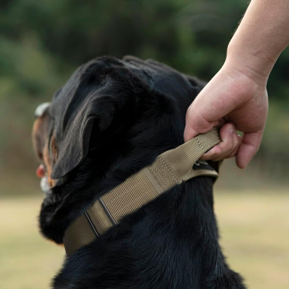 TSPRO Premium Dog Collars Tactical Dog Collar with Handle and Heavy Duty Quick-Release Metal Buckle Durable Thick and Adjustable for Medium to Large Dogs (Gradient Rainbow L)