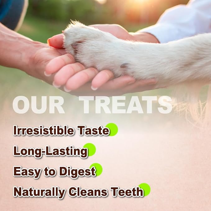 A Freschi srl Turkey Tendons for Dogs, USA-Sourced, Healthy Dog Treats, Rawhide-Free Puppy Chews, Long Lasting, All Natural, Hypoallergenic Dog Treats for Large Breeds, 1 Count Pack Ring (L)