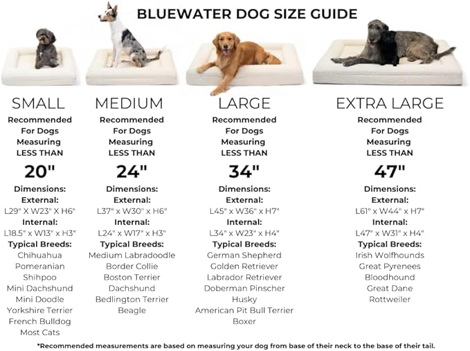 Luxury Boucle Orthopedic Memory Foam Dog Bed with Waterproof Liner and Machine Washable Cover with YKK Zippers (X-Large, 61" L x 44" W x 7" Th, Sand)