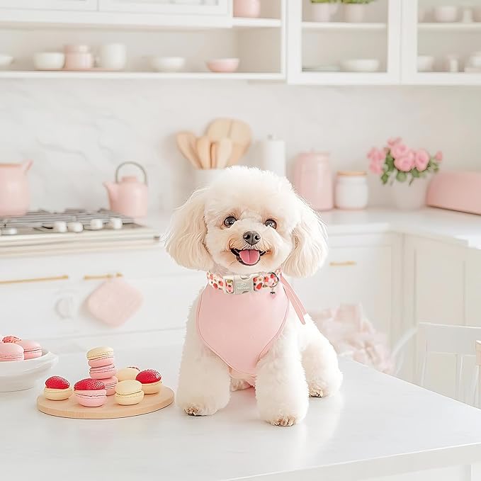 Strawberry Dog Collar for Small Dogs - Cute Spring Pink Dog Collars, Summer Pastel Puppy Collars, Soft Adjustable Boy Girl Dogs Collar with Quick-Release Buckle XS