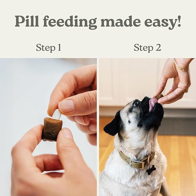 Earthly Pill Buddy Naturals - Chicken Recipe Pill Hiding Treats for Dogs - Make A Perfect Pill Concealing Pocket Or Pouch for Any Size Medication - 90 Servings