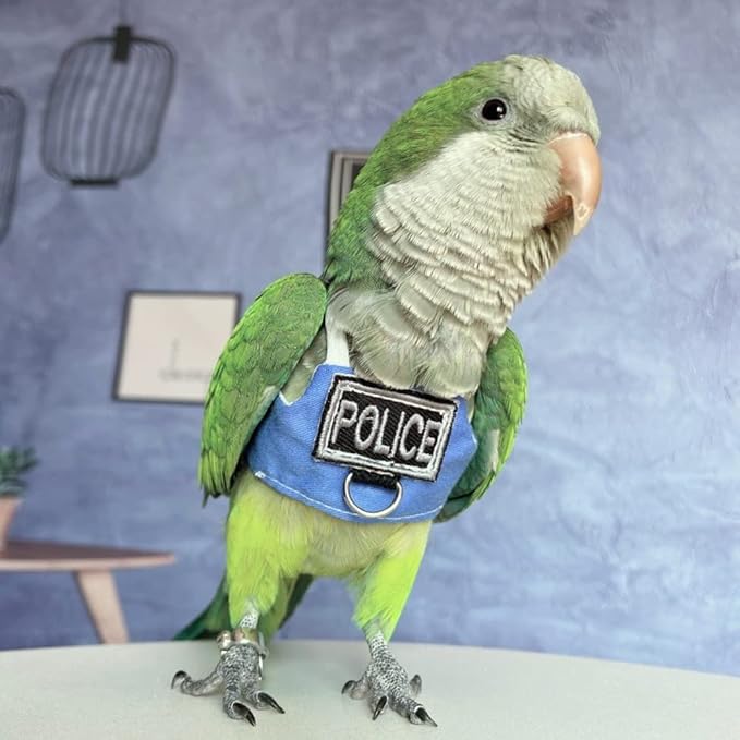 Bird Flight Harness Vest, Parrot Flight Suit with Leash, Bird Flying Clothes with Rope and Handle for Outdoor Activities (Without Leash,Sun Conure)