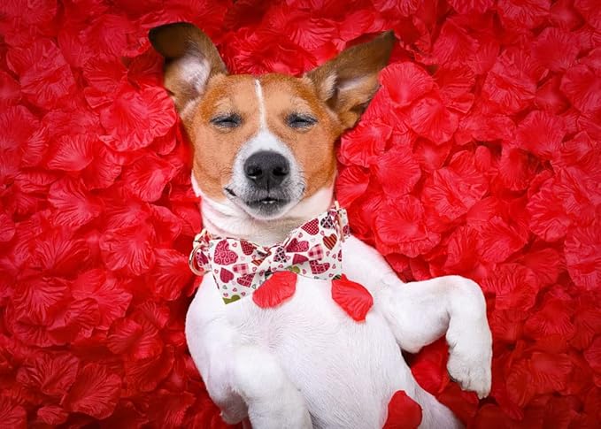 Lionheart glory Heart Dog Collar, Adjustable Dog Collar with Bowtie, Pet Gift Collar for Dog Soft Bowtie Dog Collars for X-Small Puppy
