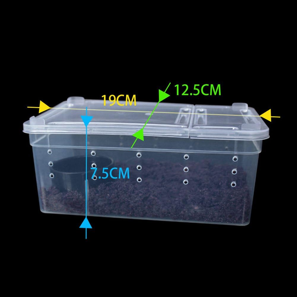 OMEM Portable Reptile Terrarium Habitat for Mini Pet Houses Breathable Holes Stackable Container (XS)