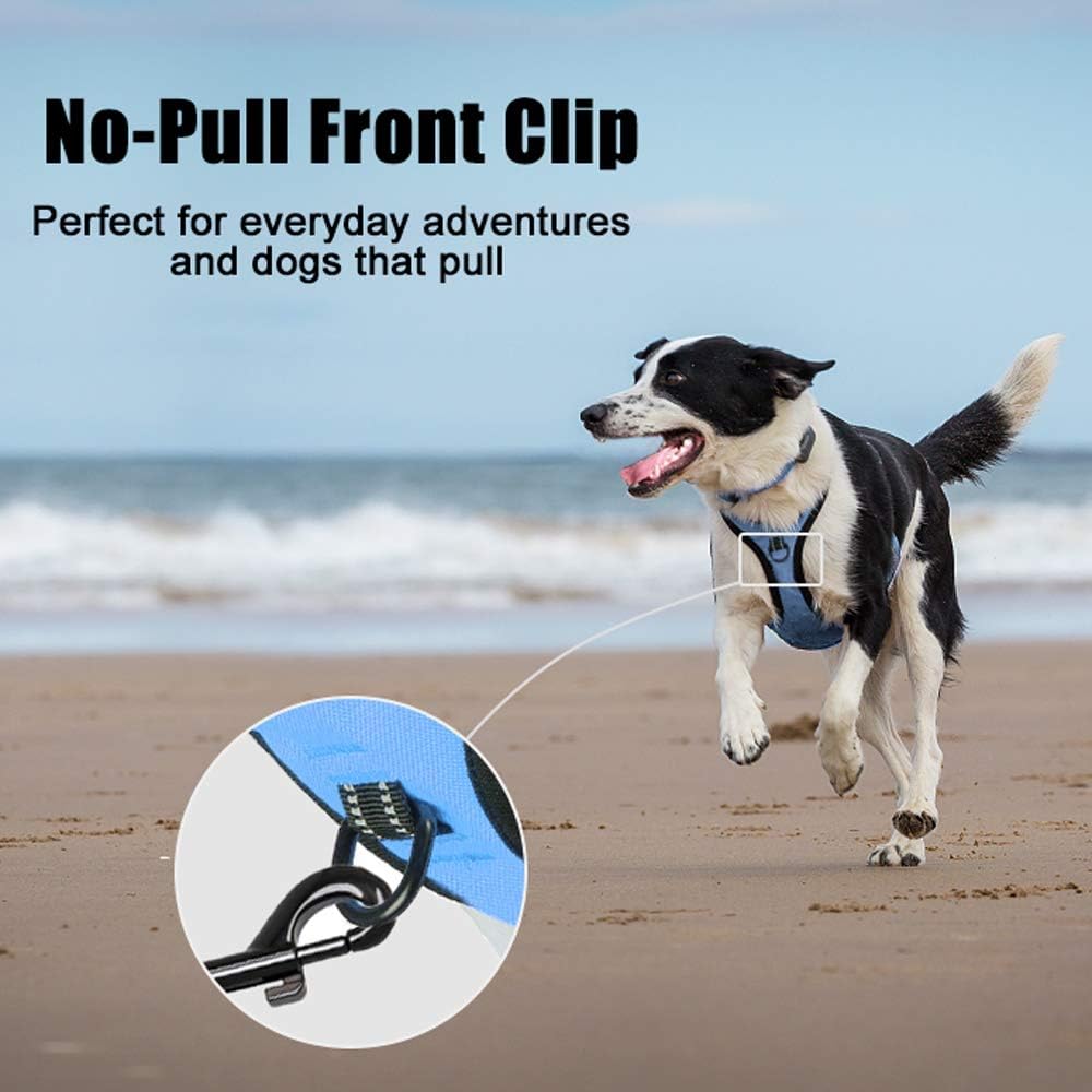 PoyPet No Pull Dog Harness, Reflective Comfortable Vest Harness with Front & Back 2 Leash Attachments and Easy Control Handle Adjustable Soft Padded Pet Vest for Small to Large Dogs (Light Blue,XS)