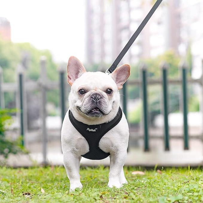 PUPTECK Soft Mesh Dog Harness and Leash Set Pet Puppy Cat Comfort Padded Vest No Pull Harnesses, Solid Black, M