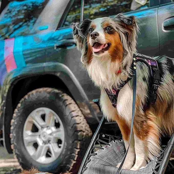 AUROTH Tactical Dog Harness for Small Medium Large Dogs No Pull Adjustable Pet Harness Reflective K9 Working Training Easy Control Pet Vest Military Service Dog Harnesses (XL, Purple Camo)