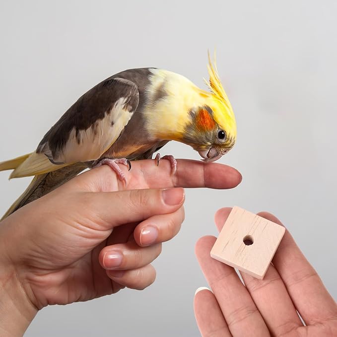 NOLITOY 100pcs Parrot Chewing Toy Parrot Toy Hanging Bird Toy Wooden Bird Toys Parrot Cage Climbing Toys Bird Teething Toys Parrot Hanging Chewing Toy Bird Chew Toy Macaw Toys