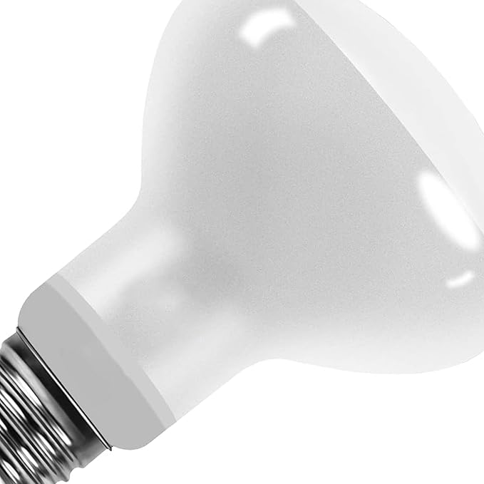 60W E26 Reptile Heat Lamp Bulbs, R63 Upgraded UVA Basking Spot Light for Bearded Dragon, Lizard, Tortoise & Amphibians - Simulated Natural Sunlight, Daylight Bulb fot Terrarium | 2 Pack