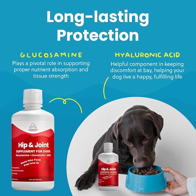 Liquid Glucosamine for Dogs, 1600mg Glucosamine Chondroitin MSM, Hip & Joint Supplement for Large Dogs, Liquid Arthritis Relief & Mobility Support, 32 oz