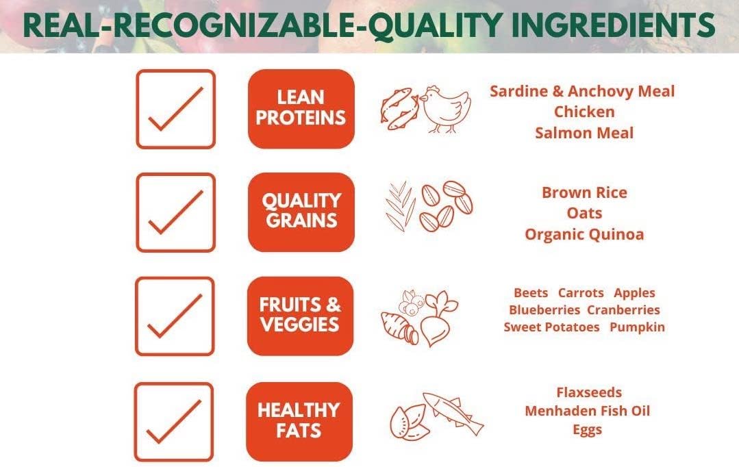 Bench & Field Holistic Natural Healthy Kitty Cat Treats | Crunchy Fish-Shaped Bites | Delicious Seafood Flavored Snack, 3-Ounce (Pack of 12 Bottles)