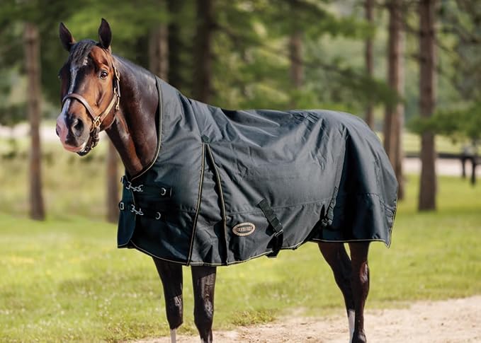 Country Pride Paladin 1200D High Neck Heavyweight Turnout Blanket (74)