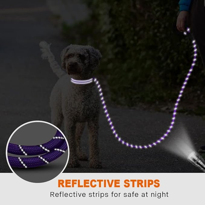 Taglory Rope Dog Leash 6 FT with Comfortable Padded Handle, Highly Reflective Threads Leash and Anti-Tangle Clip for Walking Small Dogs, 3/8 inch, Purple