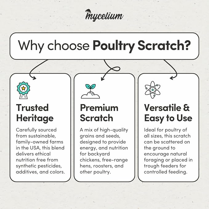 Mycelium Premium Poultry Scratch | Bird Food for Chickens, Quails & Game Birds | Organic, Non-GMO Seed Treat with Corn, Wheat & Milo | Supports Natural Foraging & Digestion | Made in USA, 5 lb Bag