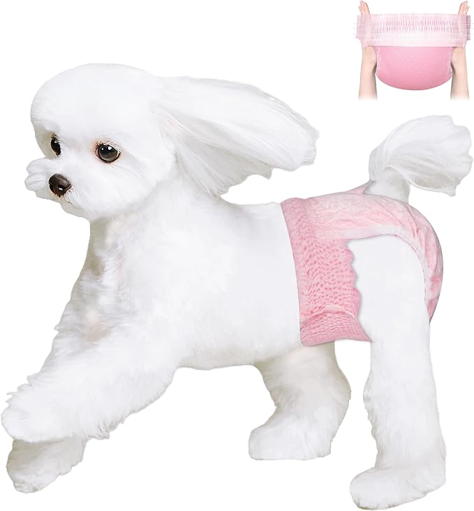Ambreview Disposable Dog Diapers Female, Just Pull It Up, Doggie Diapers for Female Dogs, Strong Absorbency | Leak Proof, for Dogs in Heat | Elderly | Disabled, XL 10 PCS