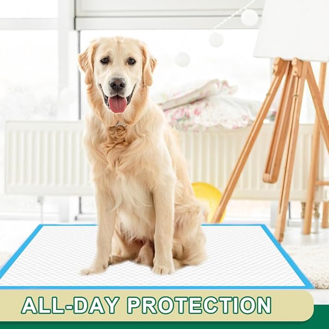 IMMCUTE Puppy Pads 22"x23" 100 Count | 6-Layer Leak-Proof & Super Absorbent Dog Training Pads | Disposable Potty Pads for Puppies, Dogs, Cats & Rabbits | Blue & White