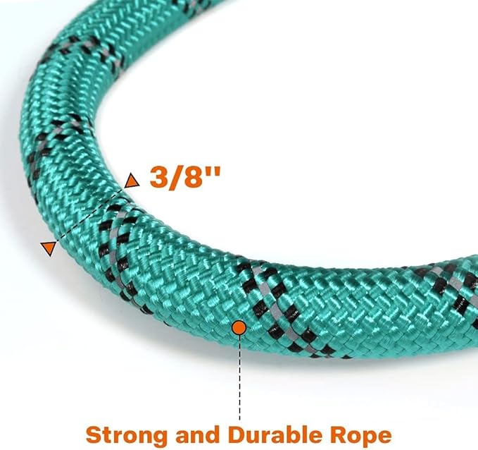 Taglory Rope Dog Leash 4 FT with Comfortable Padded Handle, Highly Reflective Threads Leash and Anti-Tangle Clip for Walking Small Dogs, 3/8 inch, Turquoise