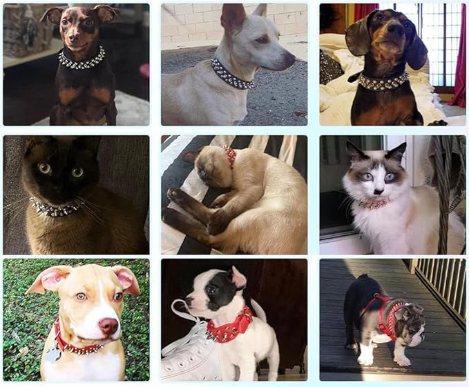 Spiked Dog Collar Soft Pu Leather Mushrooms Rivet Spike Studded Puppy Adjustable Pet Collars for Small Breeds (XS, Pink)