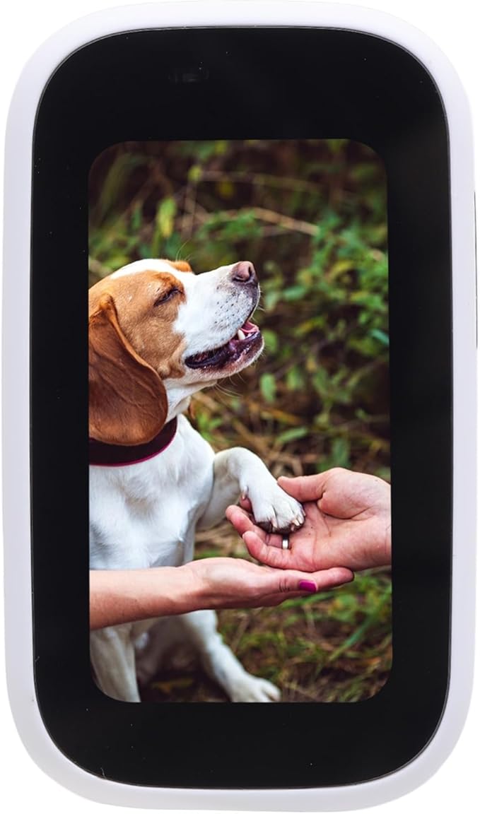 Pet Body Worn Camera, HD Resolution Wearable Body Cam for Dogs and Cats, Water Pet Action Camera with Lightweight Design for Outdoor Travel and Adventures (White)