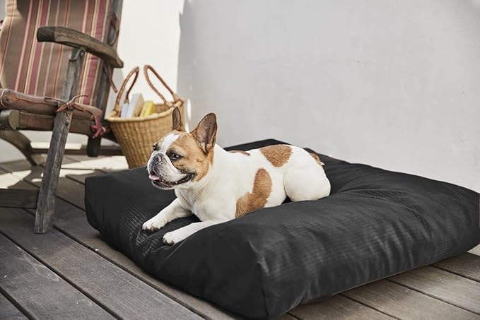 K9 Ballistics Tough Rectangle Pillow S Dog Bed - Removable Cover, Washable, Durable & Water Resistant Dog Bed Made for Small Dogs 24"x18" Sandstone