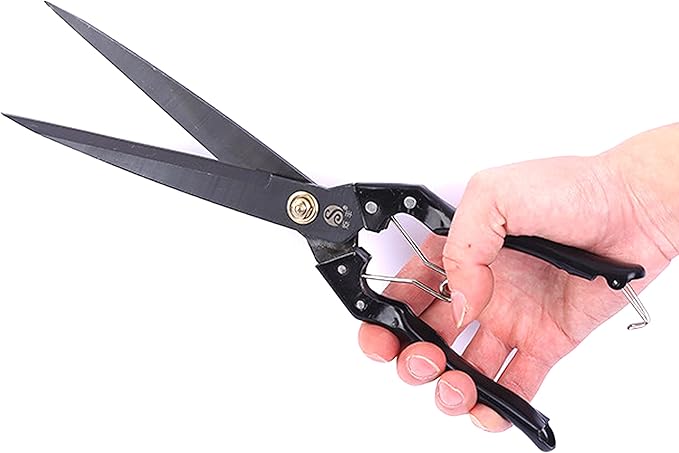 Grass Sheep Shear - Coated Wear-Resistant Handle, Manganese Steel Double-Edged, Strong Spring Suitable For Manual Shearing of Cow, Sheep, and Horse Hair (Black 12.6 inches)