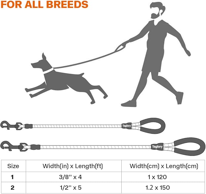 Taglory Rope Dog Leash 5 FT with Comfortable Padded Handle, Highly Reflective Threads Leash and Anti-Tangle Clip for Walking Medium Large Dogs, 1/2 inch, Green