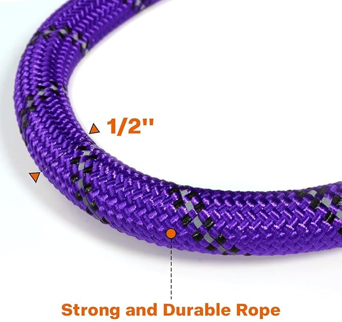 Taglory Rope Dog Leash 6 FT with Comfortable Padded Handle, Highly Reflective Threads Leash and Anti-Tangle Clip for Walking Medium Large Dogs, 1/2 inch, Purple