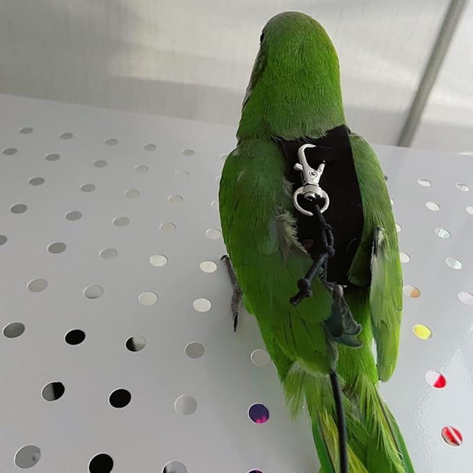 Bird Flight Harness Vest, Parrot Flight Suit with Leash for Parakeets Cockatiels Conures Budgies, Bird Flying Clothes with Rope and Handle for Outdoor Activities Training, Anti Bite (Small)