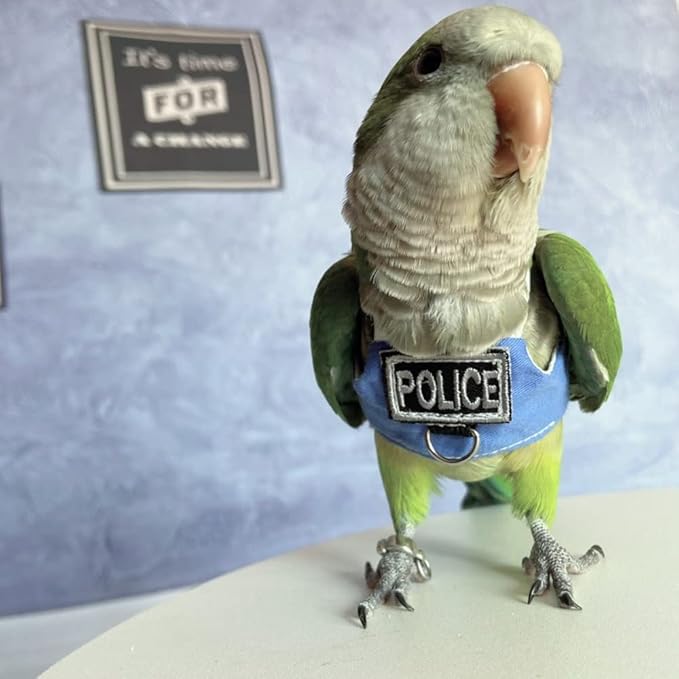Bird Flight Harness Vest, Parrot Flight Suit with Leash, Bird Flying Clothes with Rope and Handle for Outdoor Activities (with Leash,Green-cheeked Conure)