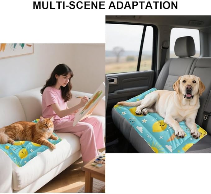 Banana Lemon Treat Turquoise Big Dog Bed Dogs Mat Pet Carrier Pad Crate Cushion Washable Non-Slip Small Dog Bed for Crate Kennel Beds for Crates Mat Cage Accessories Indoor Outdoor 36X24 Inch