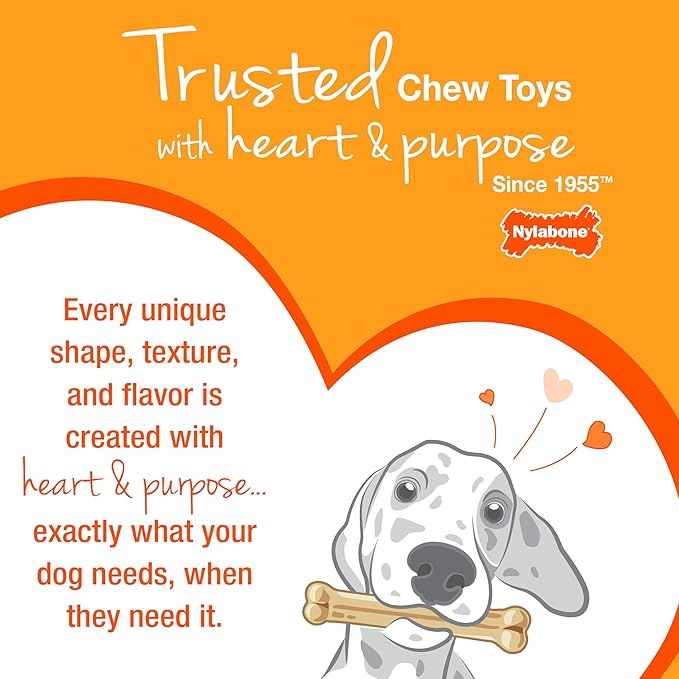 Nylabone Ring Bone & Teething Bone Puppy Chew Toy for Dogs, Soothing Puppy Teething Toys, Puppy Enrichment Toys, Long Lasting Chicken Flavor, Medium Dogs - Up to 35 lbs, 2 Pack