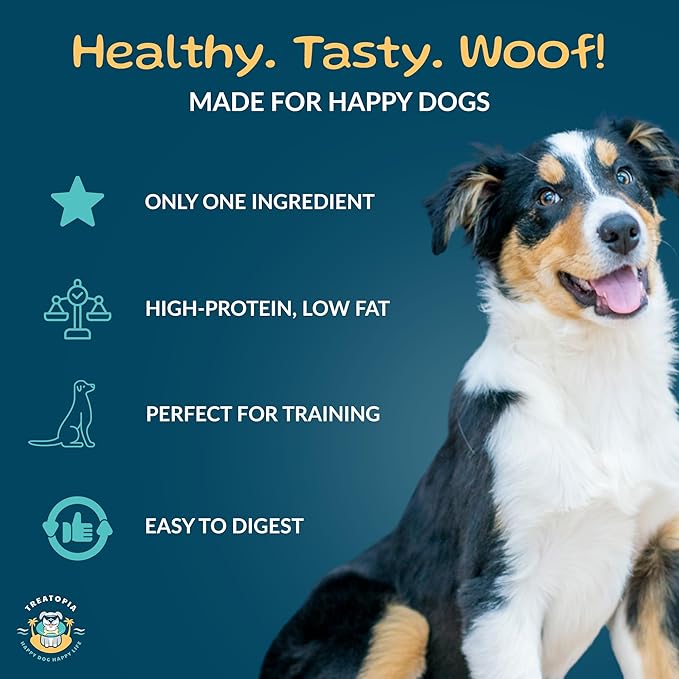 TREATOPIA Beef Lung Nuggies Dog Treats, 2 LB Bag - All-Natural, Sustainable, Healthy, High Protein, Hand-Trimmed, Slow-Roasted, Made in The USA, Nutritious, No Additives, No Fillers