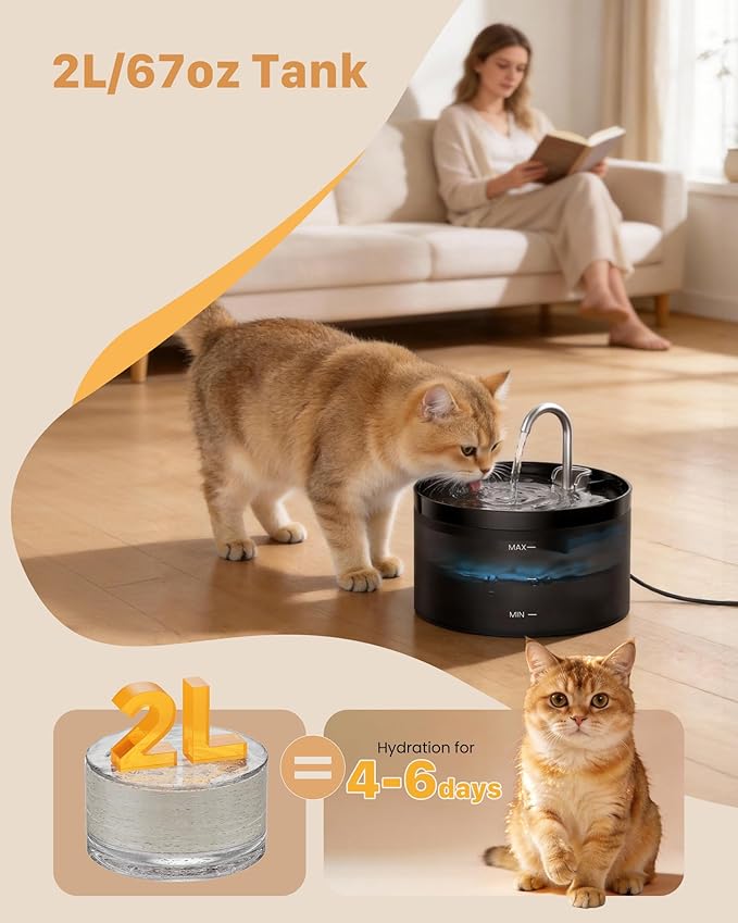 Cat Water Fountain: Dog Bowl Fountains - Automatic Pet Dispenser - Dogs Drinking Waterer Bowls Indoor - Auto Watering Dish Supplies - Easy Cleaning Animal Machine - Quiet 67oz/2L Kitty Drink Fountain