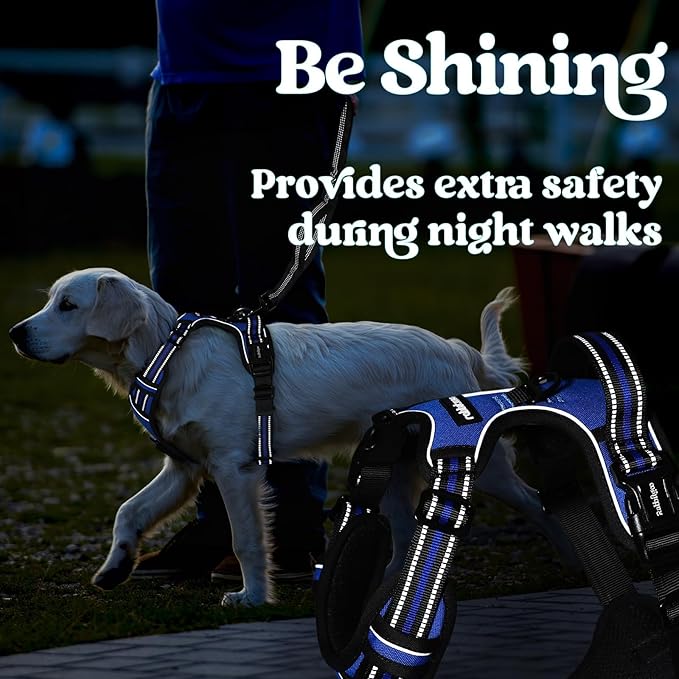 rabbitgoo Dog Harness Medium Sized, No Pull Pet Harness with 3 Buckles, Adjustable Soft Padded Vest with Control Handle, Walking Reflective Pet Vest for Medium Dogs, Blue, M